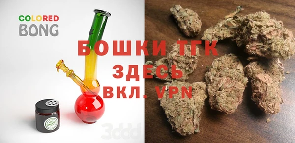 мдпв Белокуриха